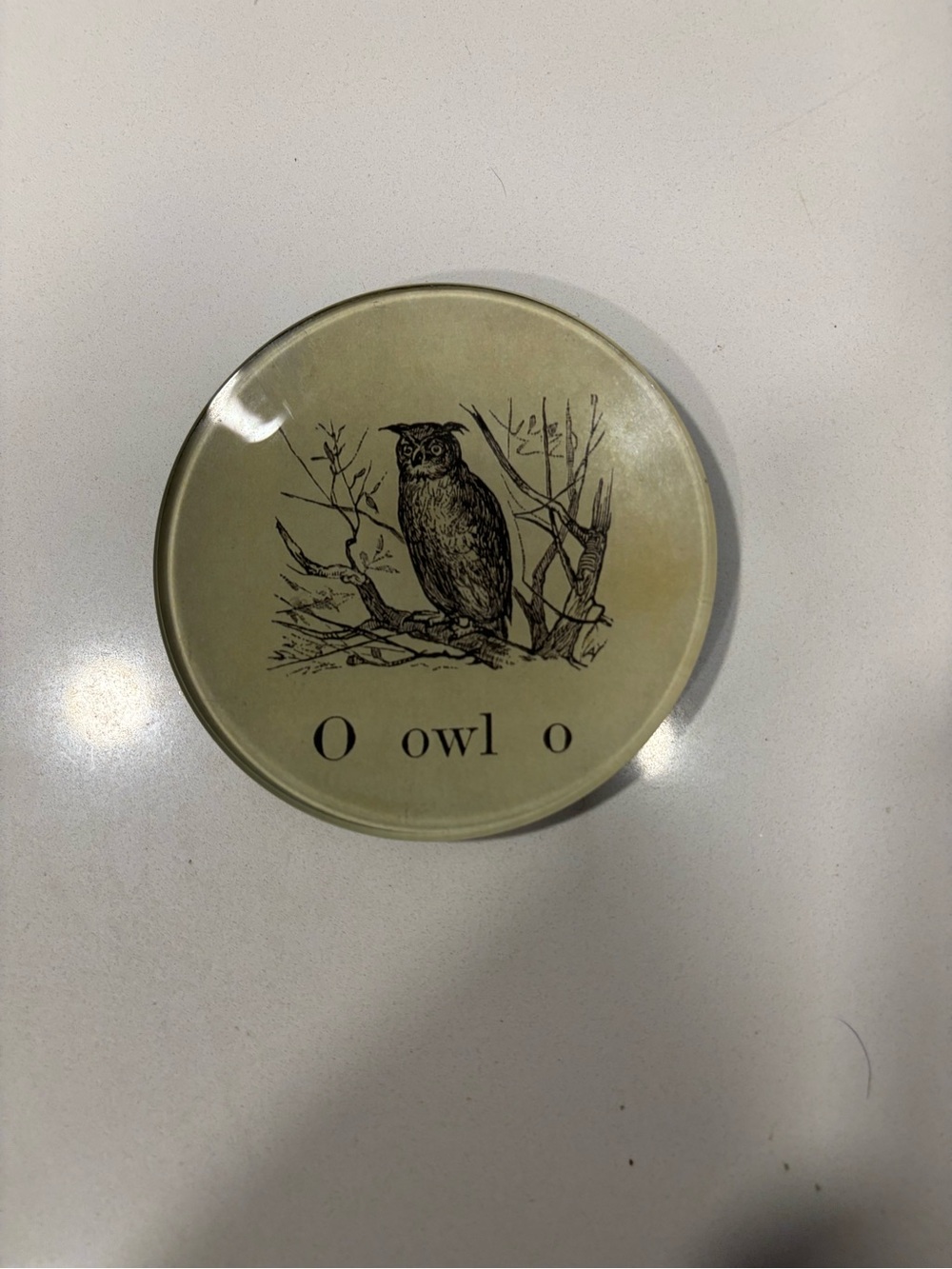 John Derian Owl Dish
